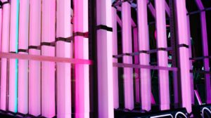 bright neon lights